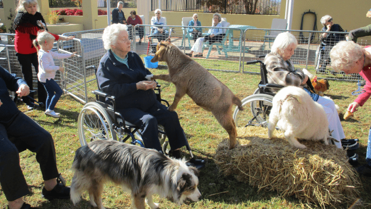 Petting Zoo at Burrangiri Aged Care Plus Respite Centre