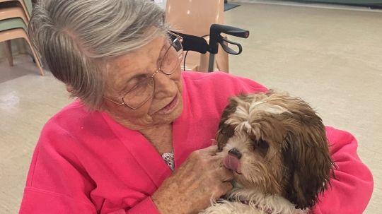 World Animal Day - Animal Therapy in our Centres  